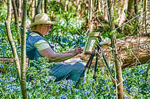 Artists in the Bluebells